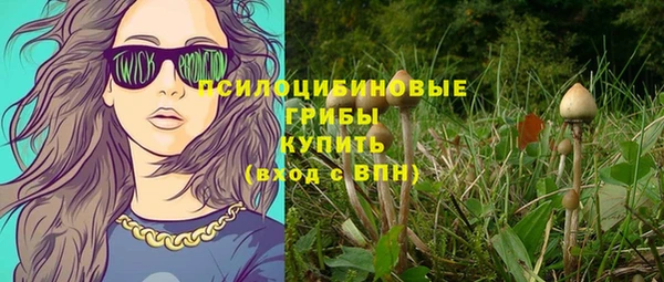 гидропоника Алексеевка