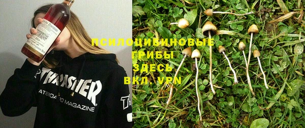 гидропоника Алексеевка