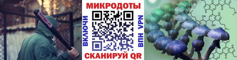 площадка состав  Жуков  гидра зеркало  Псилоцибиновые грибы Cubensis  купить наркотик 